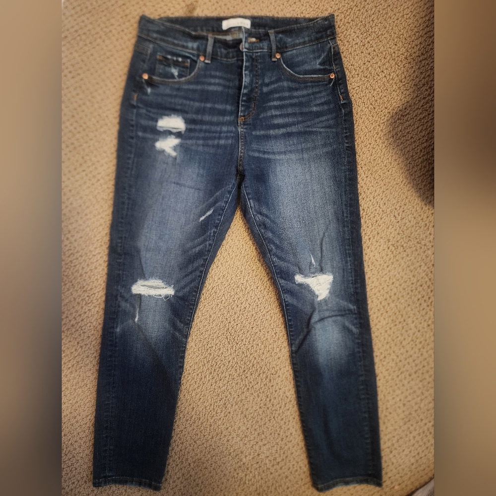 LOFT Modern Skinny Distressed Jeans